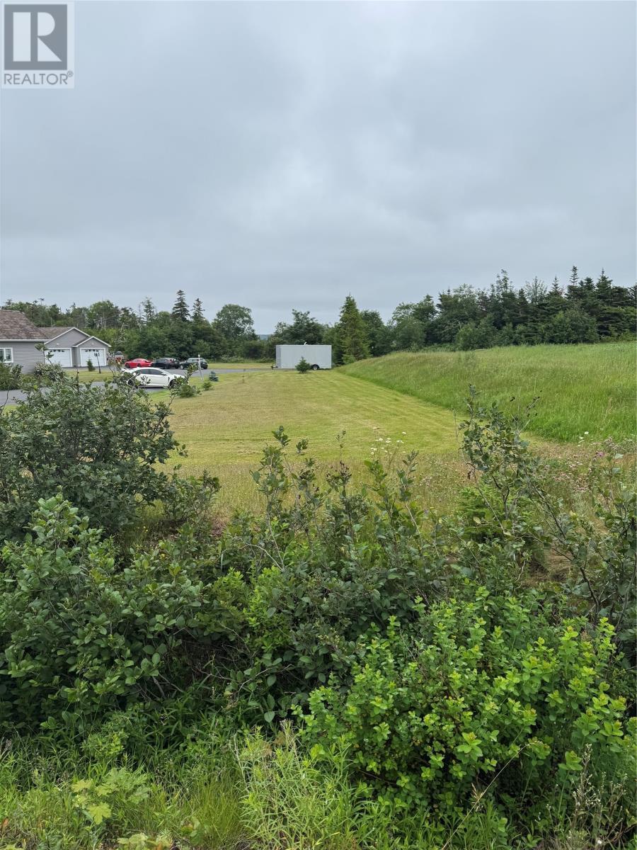 17 Middle Ridge, Conception Bay South, NL