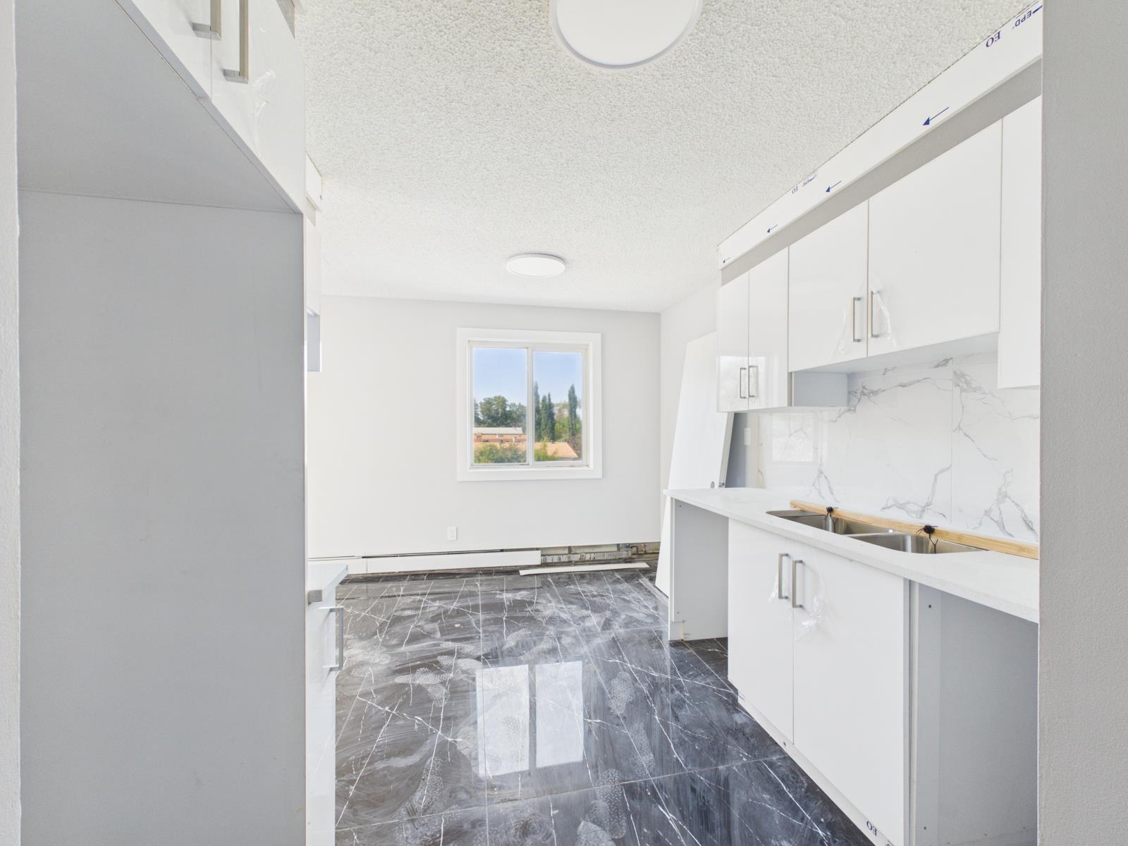12222 111 Ave Nw, Edmonton, AB - Indoor Photo Showing Kitchen With Double Sink