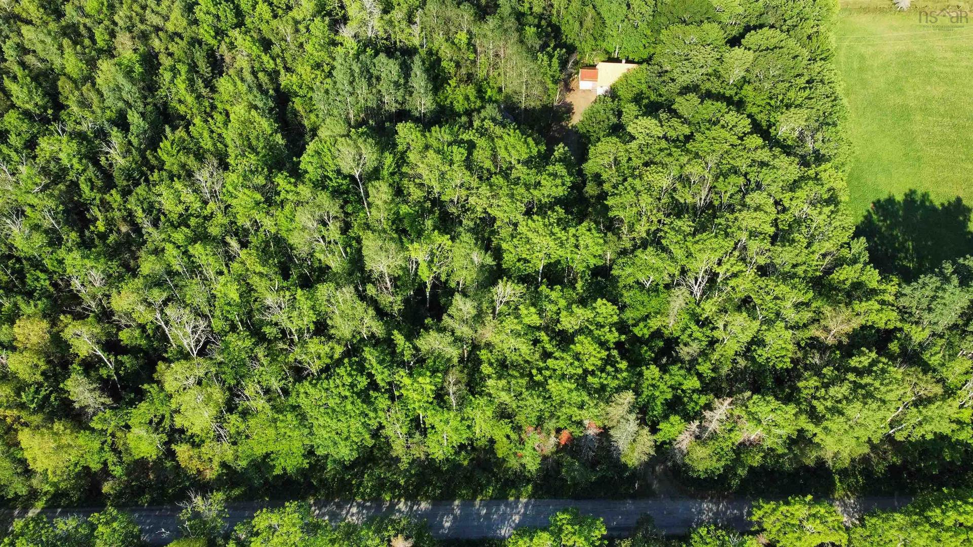 2113 Fire Lane, Torbrook, NS - Outdoor
