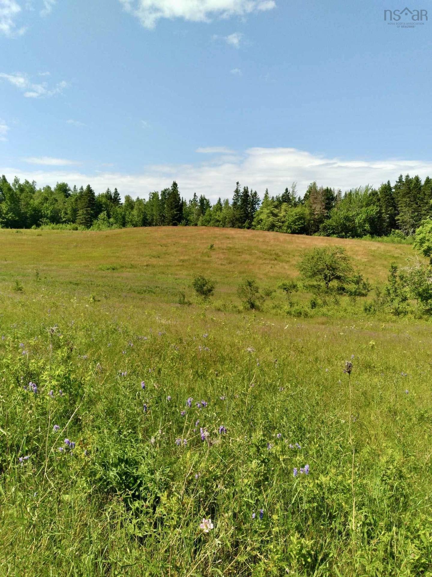 272 Breen Road, Monastery, NS