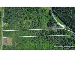 Vacant Land Black Brook RD Glassville, NB E7L 1R7