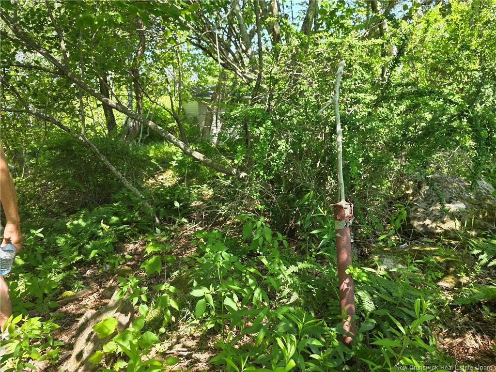 90 Crowley Rd, Saint John, NB