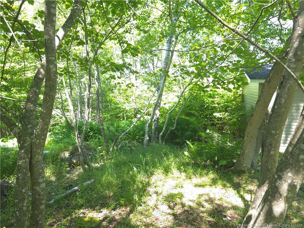 90 Crowley Rd, Saint John, NB