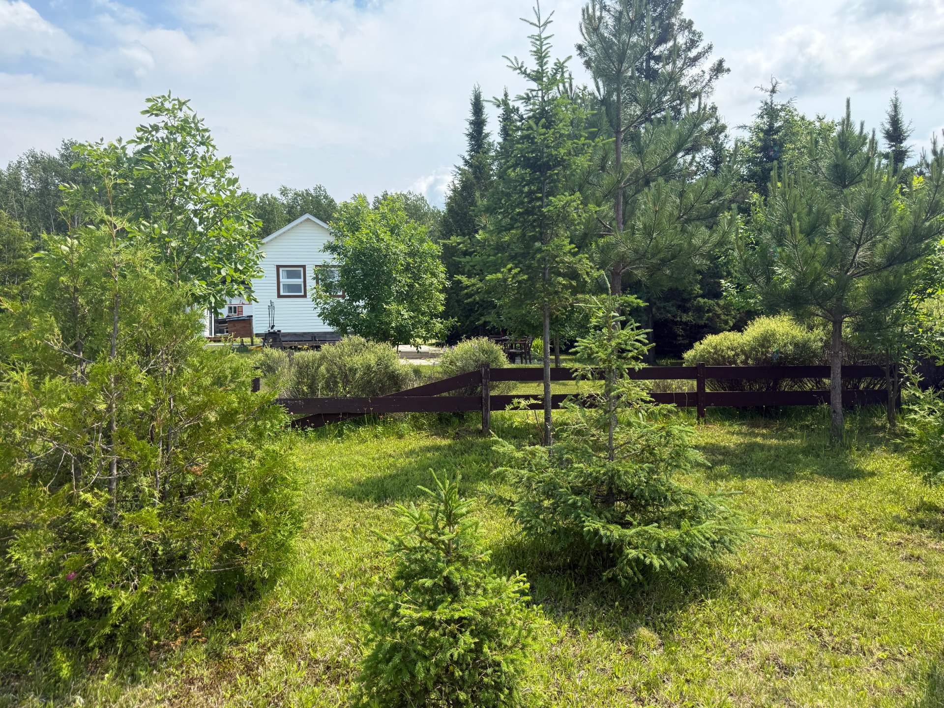 Courtyard - 741 Ch. De Moffet-Latulipe, Moffet, QC - Outdoor With View