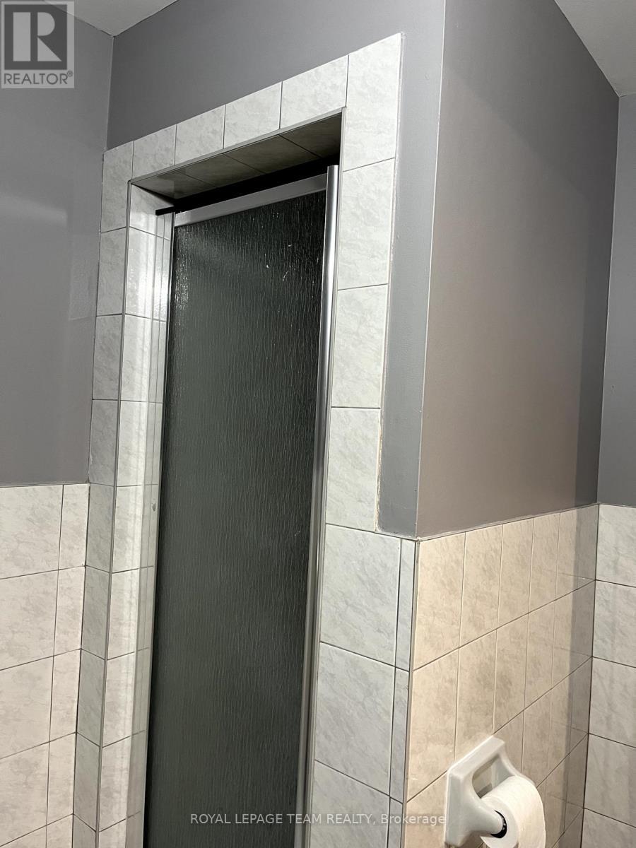 Basement bathroom, shower - 9 Tower Road E, Ottawa, ON - Indoor Photo Showing Bathroom