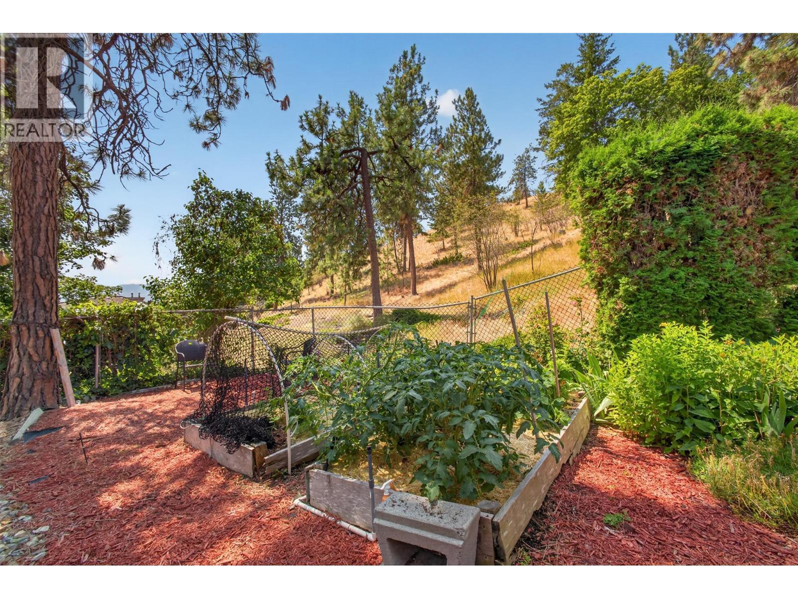 Tons of space for garden beds - 602 Glenmeadows Road, Kelowna, BC - Outdoor