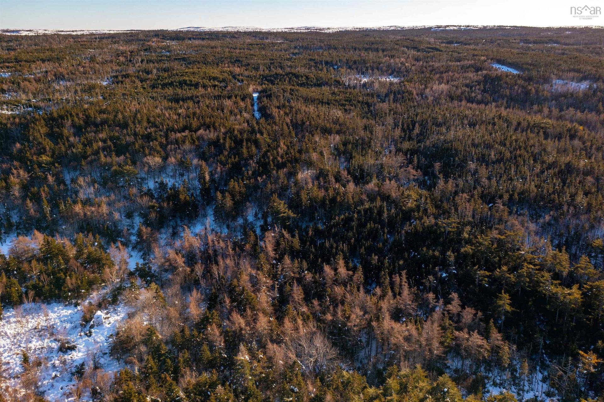 Peas Brook, 16 Highway, Peas Brook, NS