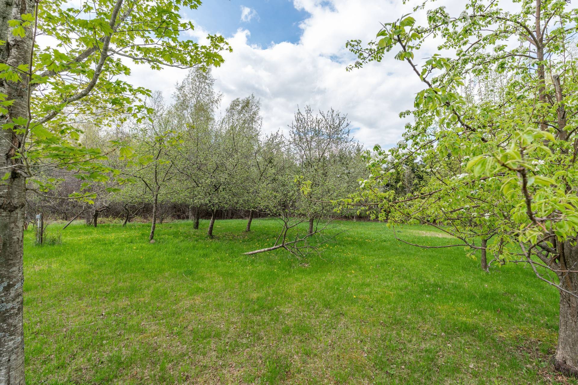 Extérieur - 4452 Rue Du Mont-Blanc, Ascot Corner, QC - Outdoor