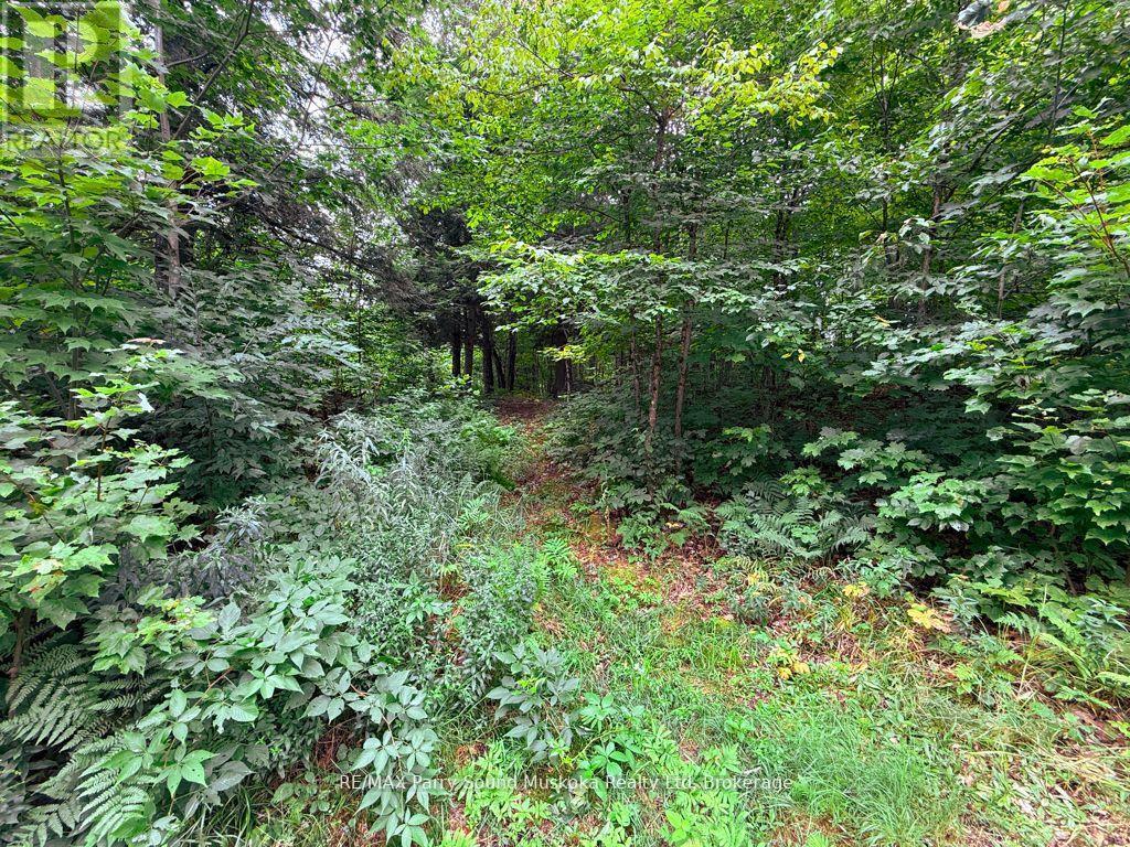 335 Centre Road, Mckellar, ON