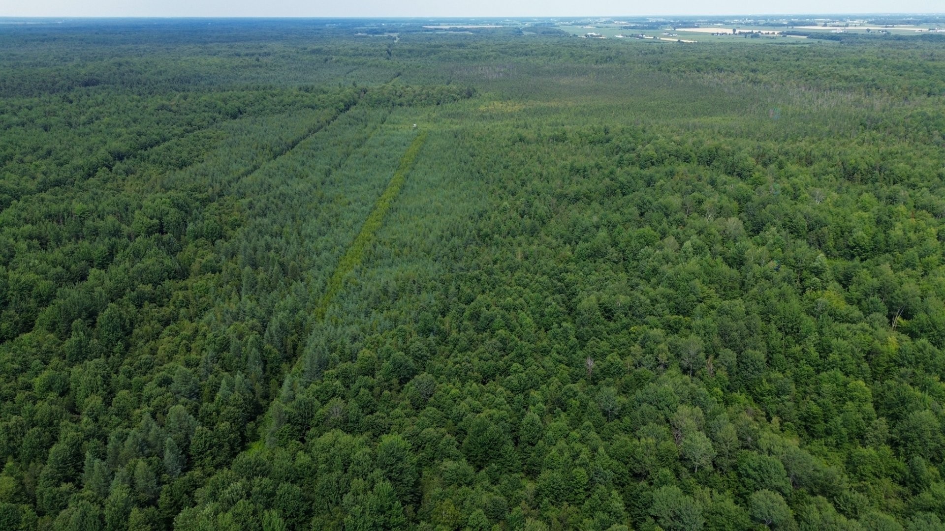 Vue d'ensemble - 11E Rang, Saint-Eugène, QC