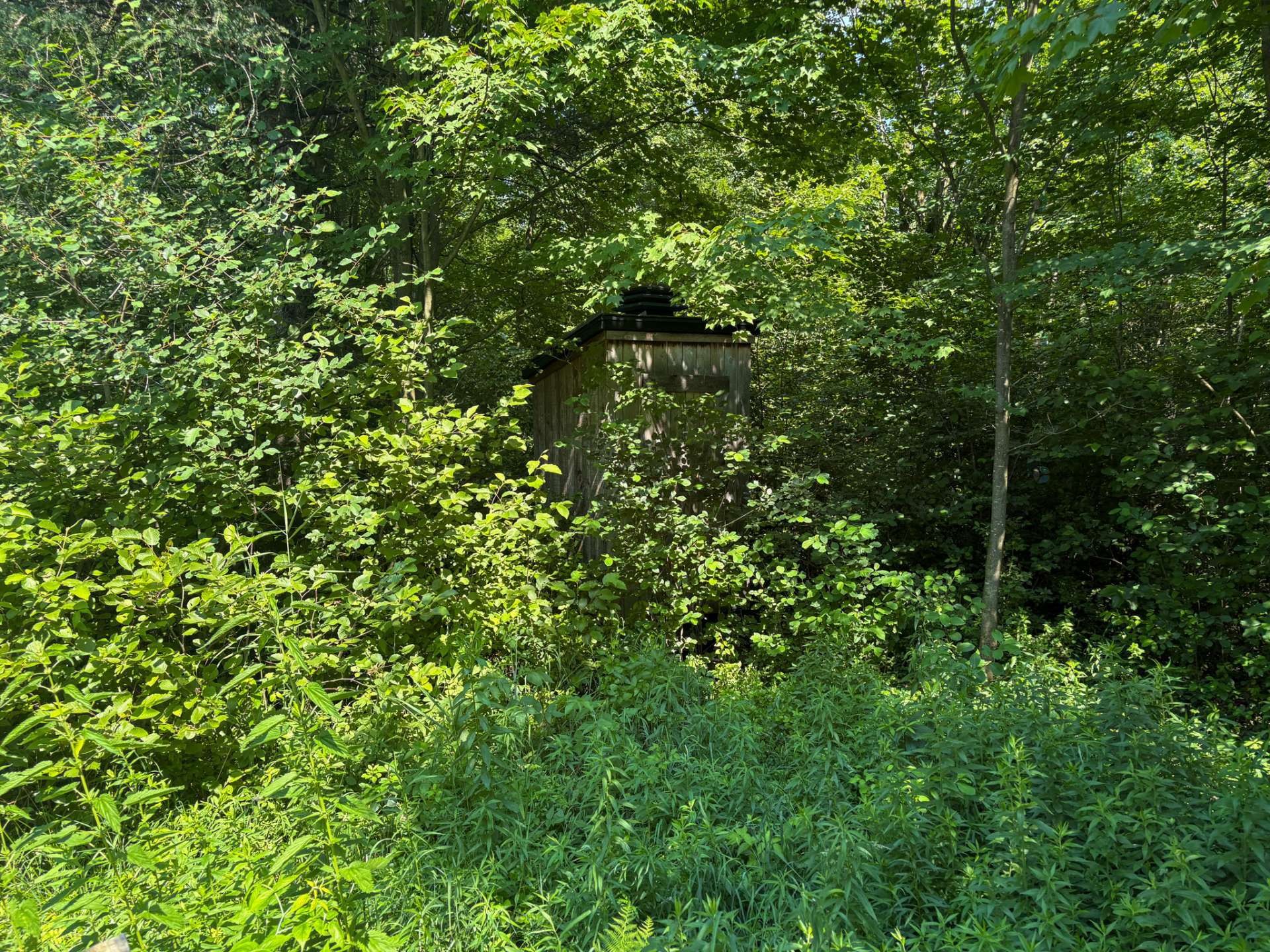 Terre à bois - 11E Rang, Saint-Eugène, QC