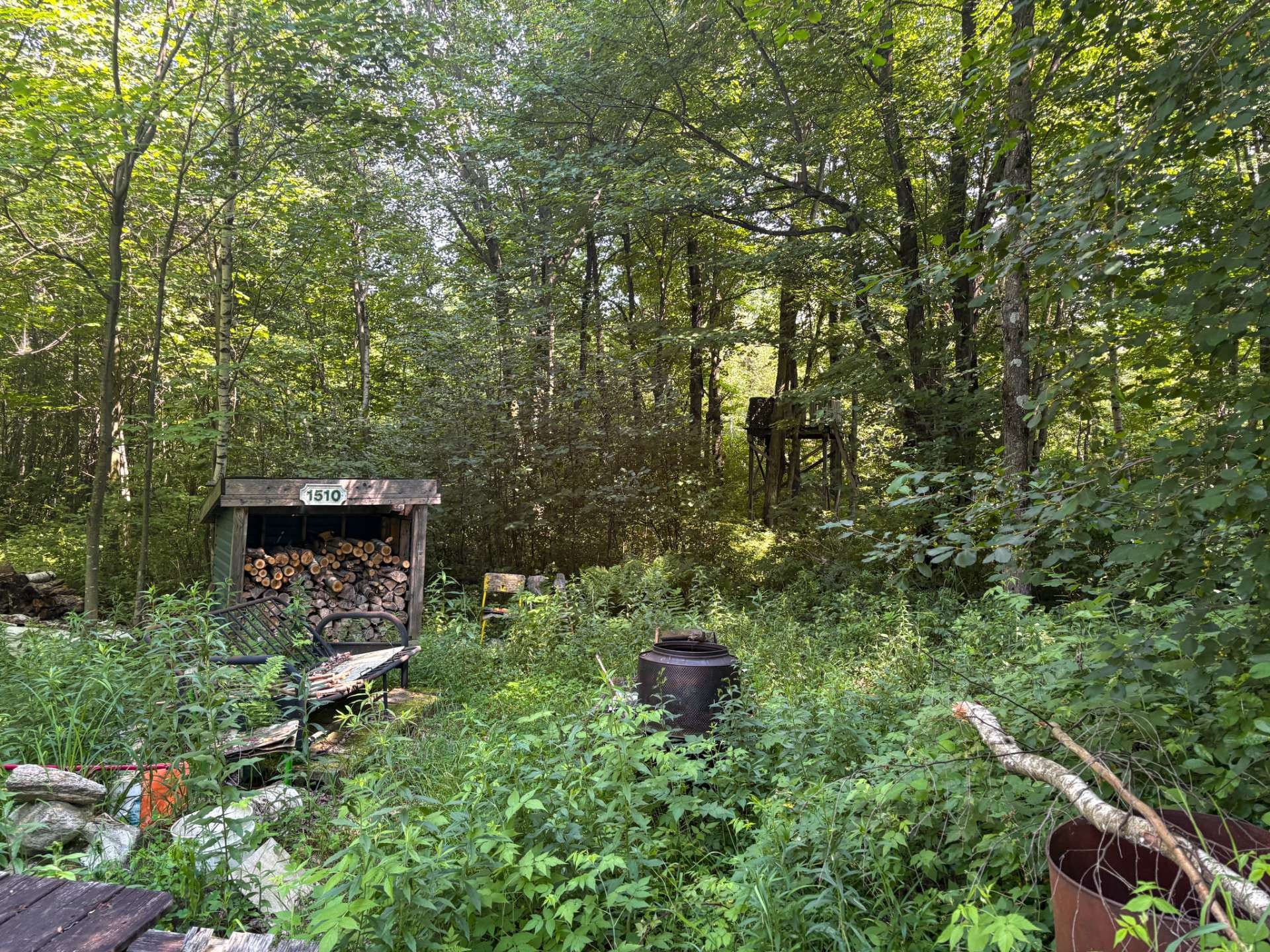 Terre à bois - 11E Rang, Saint-Eugène, QC