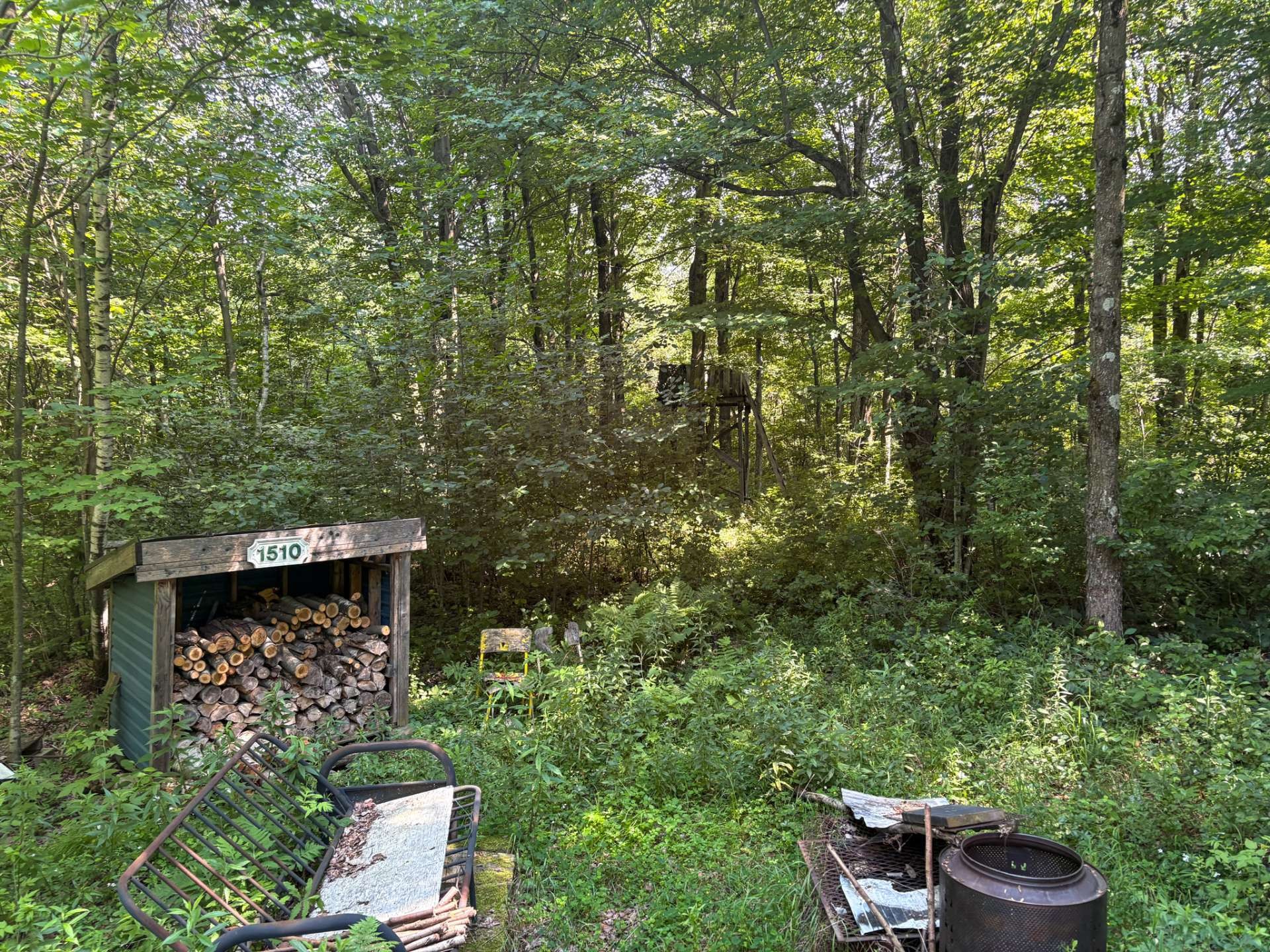 Woodland - 11E Rang, Saint-Eugène, QC