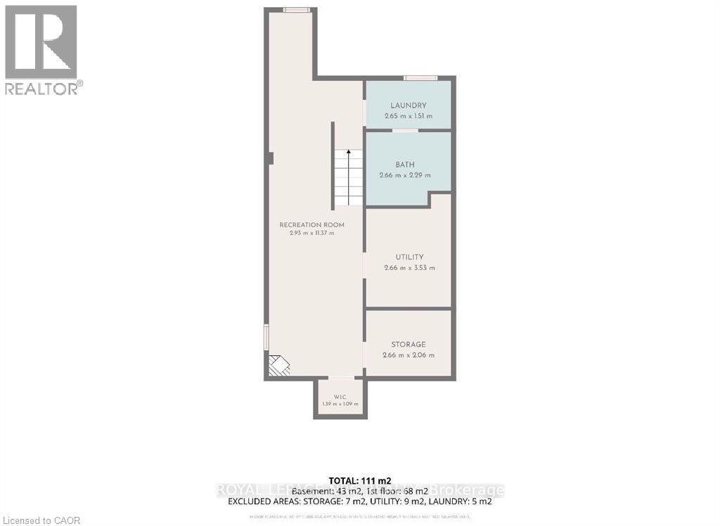 237 Paling Avenue, Hamilton, ON - Other