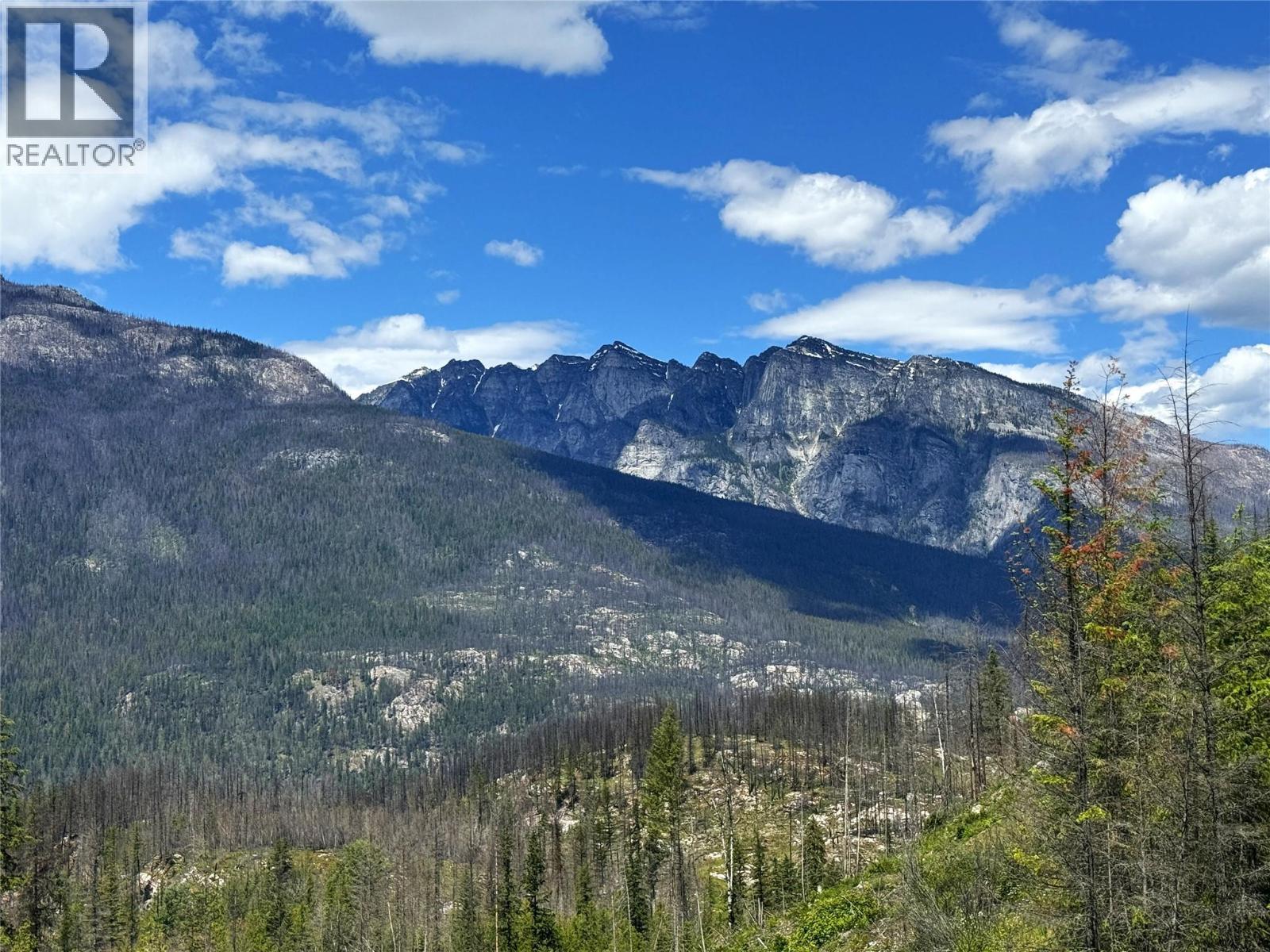 9155 Highway 6, Silverton, BC - Outdoor With View