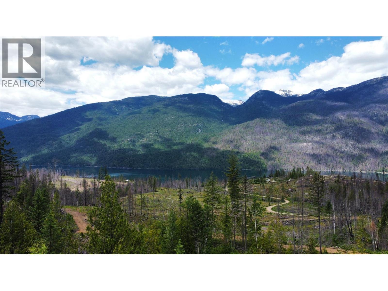9155 Highway 6, Silverton, BC - Outdoor With View