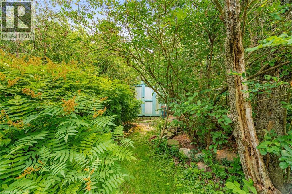 25 Arch Road, Mississauga, ON - Outdoor