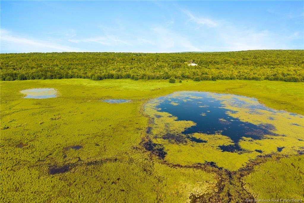 000 Morrow Rd, French Lake, NB