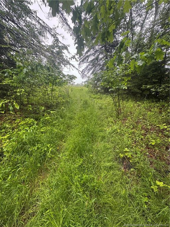 000 Morrow Rd, French Lake, NB