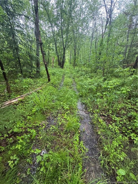 000 Morrow Rd, French Lake, NB