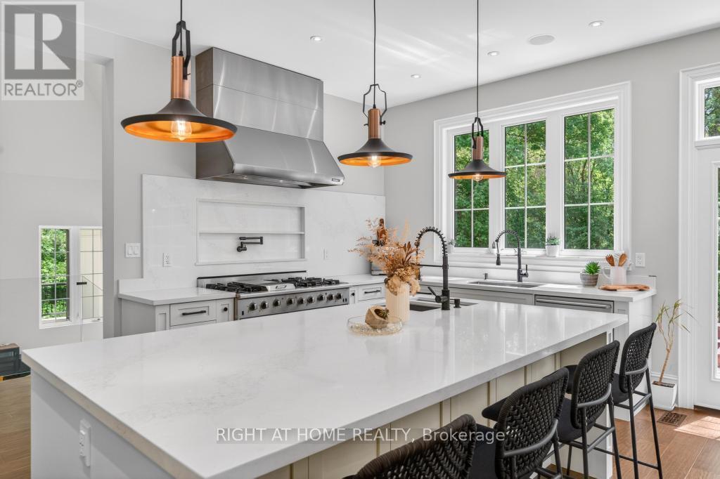 64 Ravina Crescent, Hamilton, ON - Indoor Photo Showing Kitchen With Upgraded Kitchen