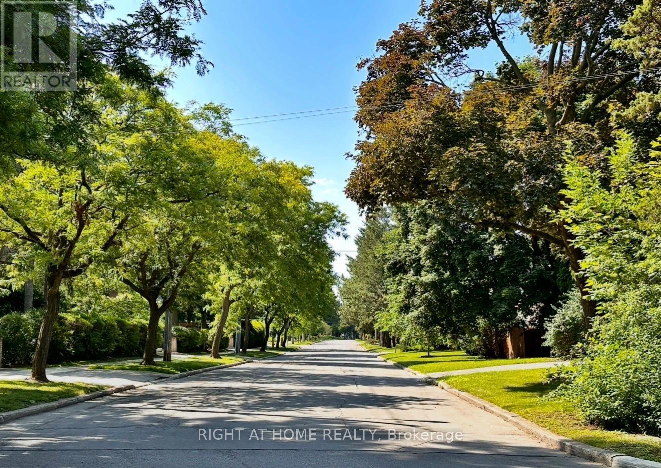 Tree Lined Streets - 17 Denmark Crescent, Toronto, ON - Outdoor With View