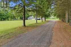Long Tree Lined Driveway - 