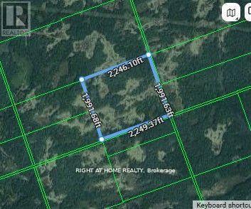 0A Flinton Road E, Tweed, ON