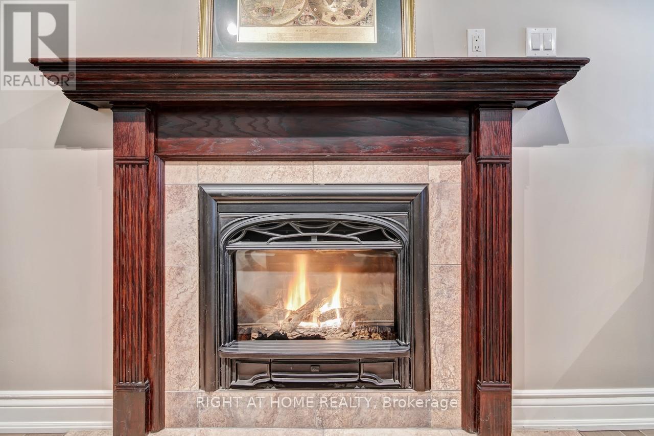 Lower-Family Room Cast Iron-Fireplace Insert - 126 Moore Crescent, Hamilton, ON - Indoor Photo Showing Living Room With Fireplace