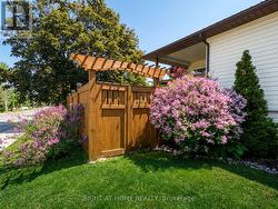 Entry to Backyard - 