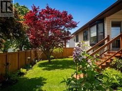 Fenced Backyard - 