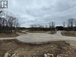 117 BUTTERNUT COURT Grey Highlands, ON N0C 1H0