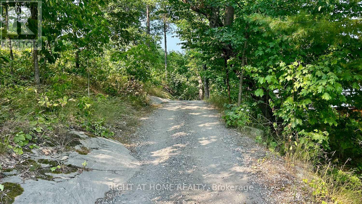 29 Maple Ridge - 1336 South Morrison Lake Road, Gravenhurst, ON - Outdoor