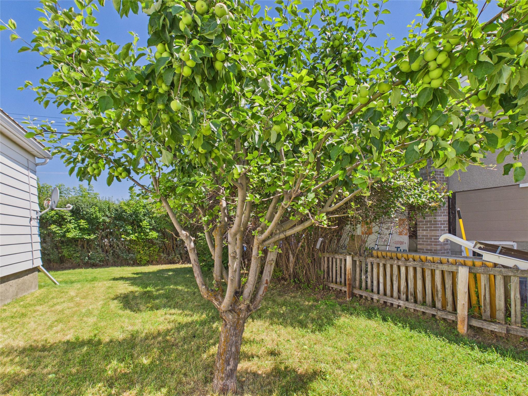 217 6Th Avenue, Cranbrook, BC - Outdoor