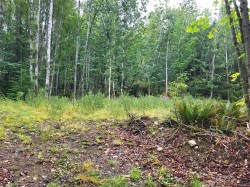 Lot B-7531 Cowichan Lake Rd Lake Cowichan, BC V0R 2G0