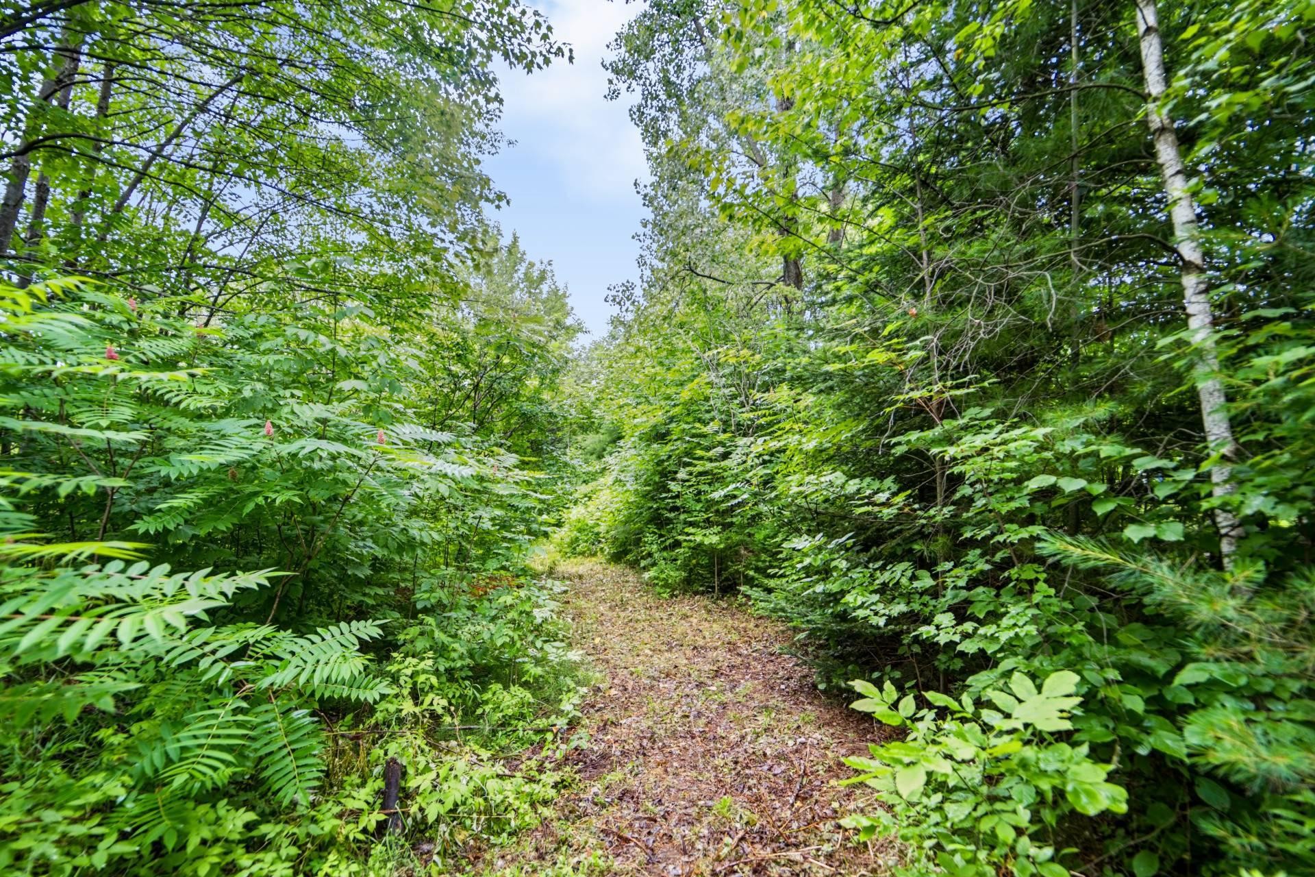 Jardin - 12 Rue Pierre, Saint-Lin/Laurentides, QC - Outdoor