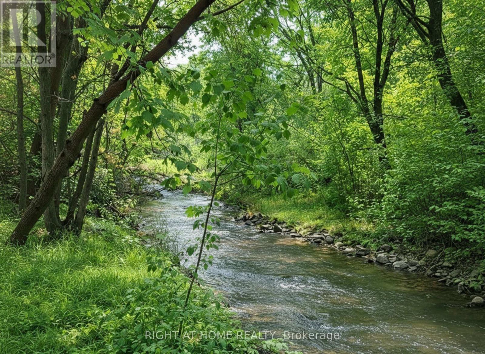 15 Pioneer Drive, Mississauga, ON - Outdoor With Body Of Water
