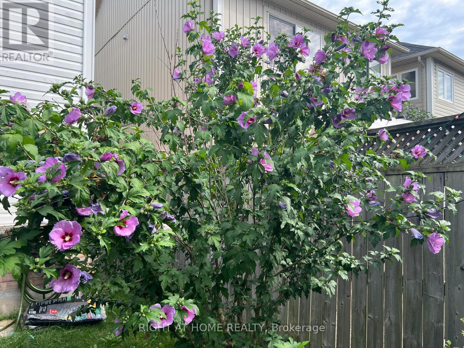 39 Golden Iris Crescent, Hamilton, ON - Outdoor