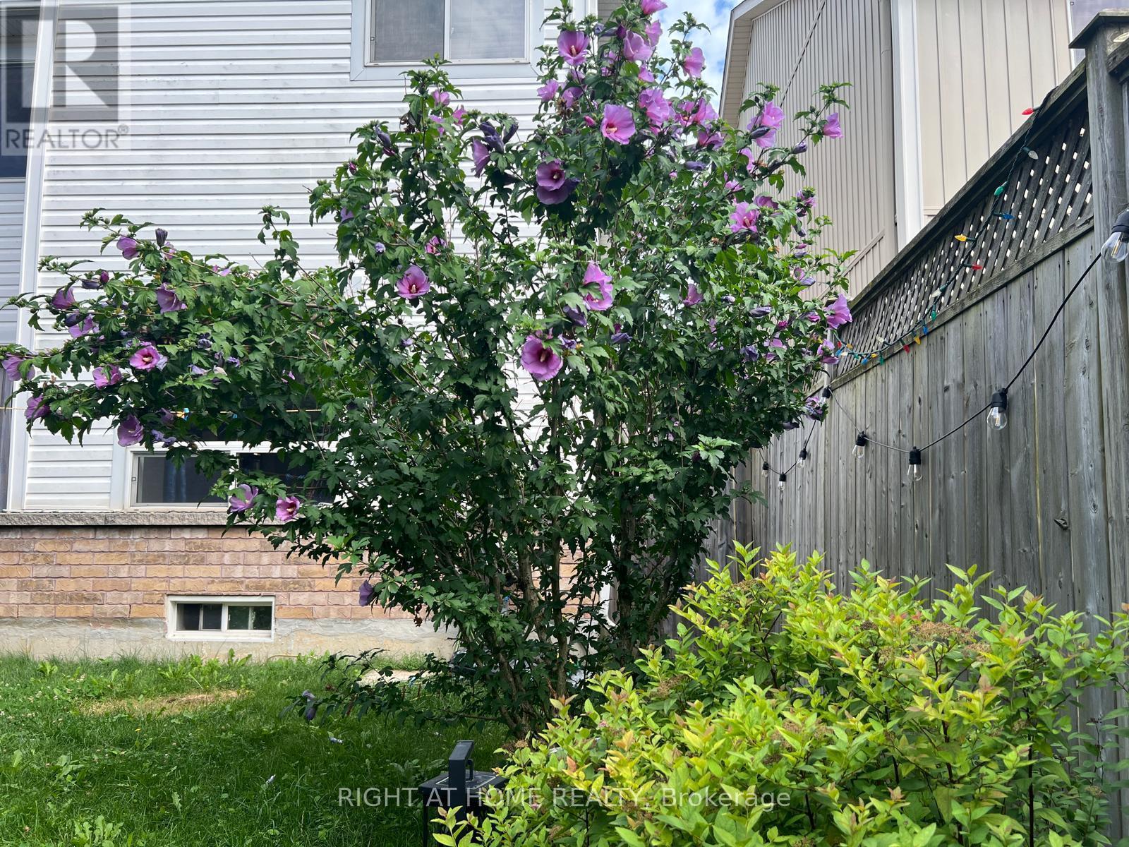 39 Golden Iris Crescent, Hamilton, ON - Outdoor
