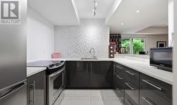 Lower level kitchen - 