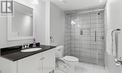 Lower level bathroom - 