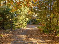 Very secluded - 