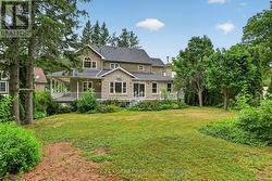 back yard -