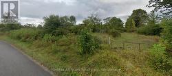 LOT 4 MARITIME ROAD Kawartha Lakes (Bexley), ON K0M 2B0
