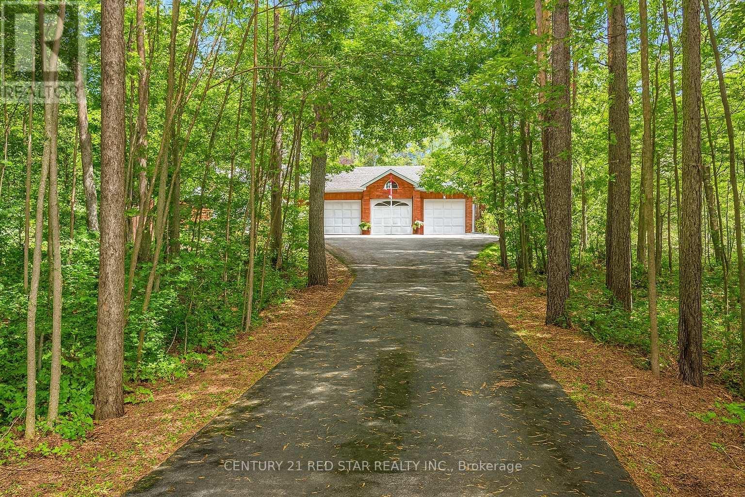 Long Driveway in - 1775 Loretta Avenue, Severn, ON - Outdoor