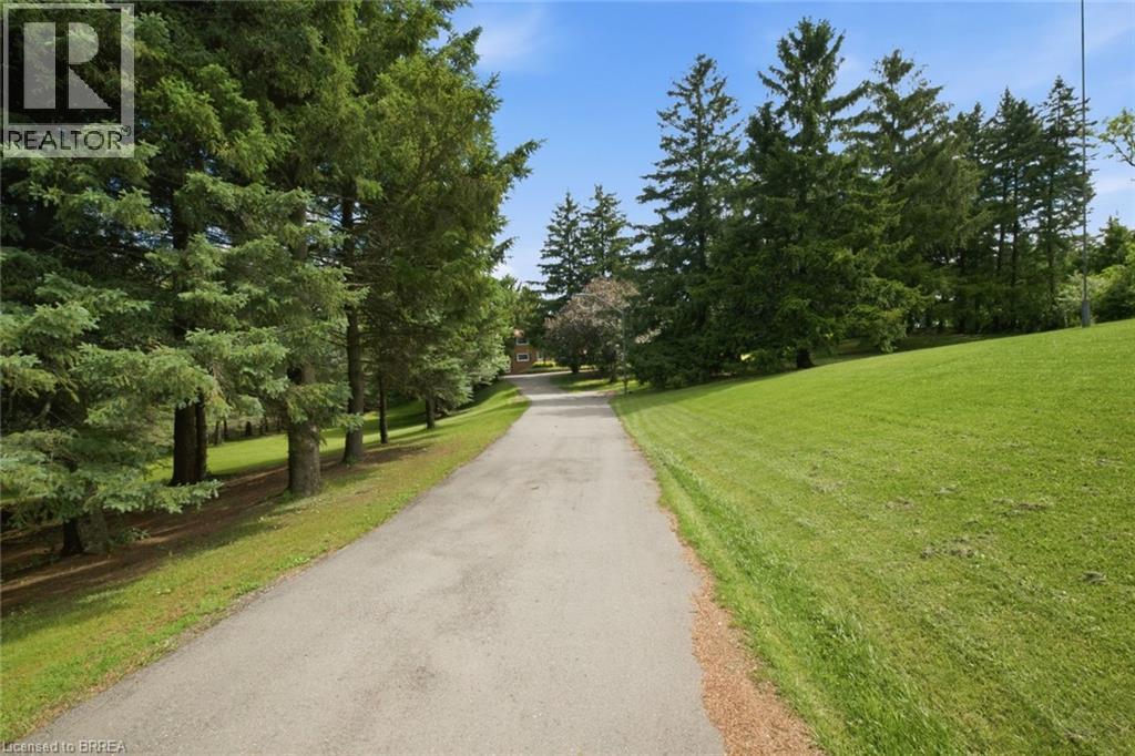 Paved driveway surrounded by mature evergreen trees and sloped grassy areas - 1598 Highway No 6, Hamilton, ON - Outdoor
