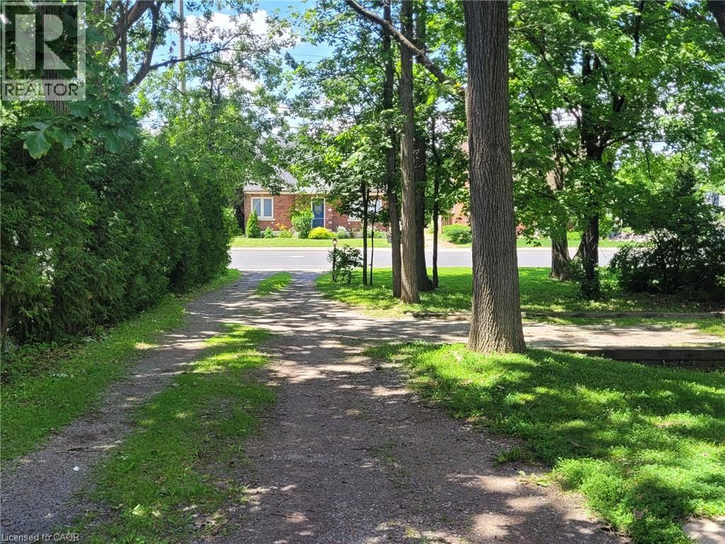 Gravel driveway bordered by manicured lawn and mature trees, offering privacy with a tall evergreen hedge - 879 West 5Th Street, Hamilton, ON - Outdoor