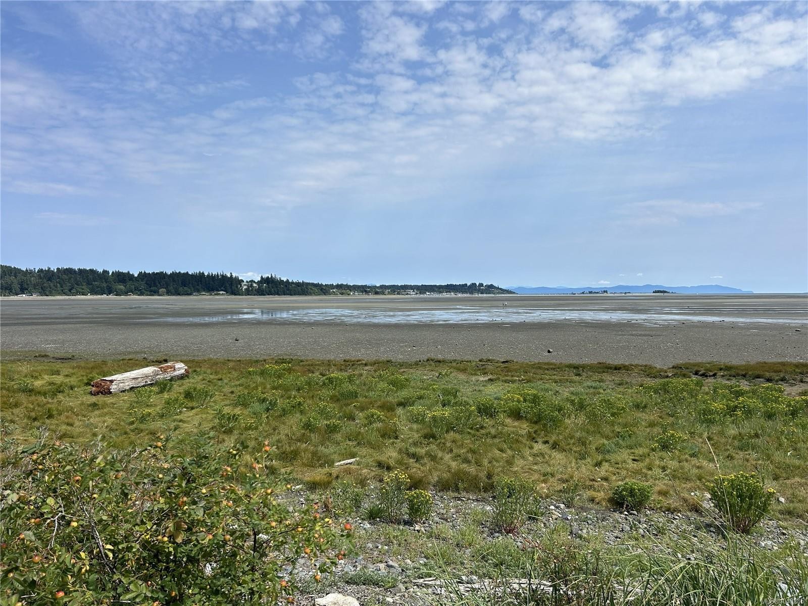3479 Fraser Rd, Courtenay, BC