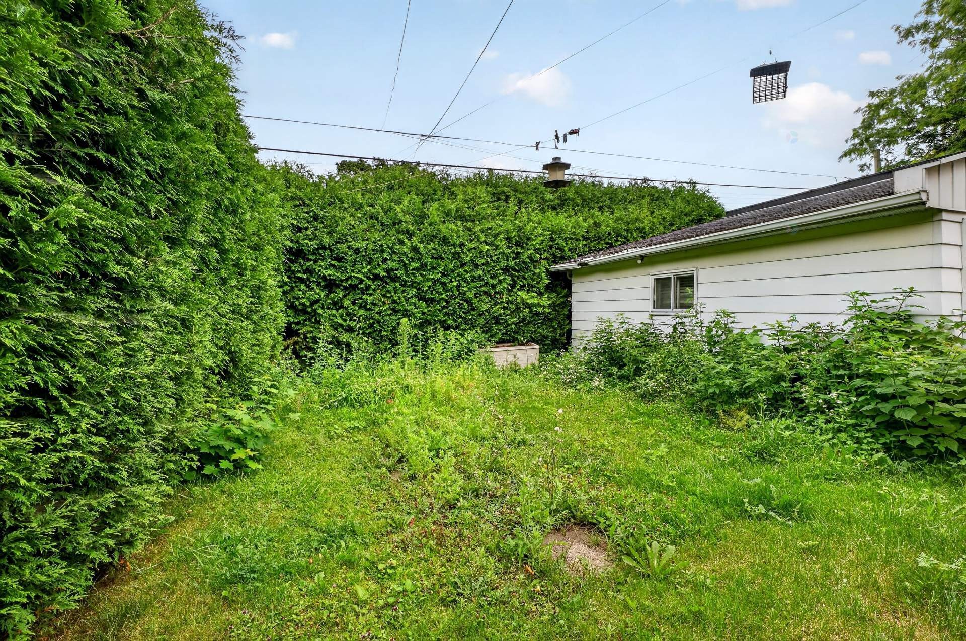 Courtyard - 7565 Rue Louis-Hémon, Montréal (Villeray/Saint-Michel/Parc-Extension), QC - Outdoor