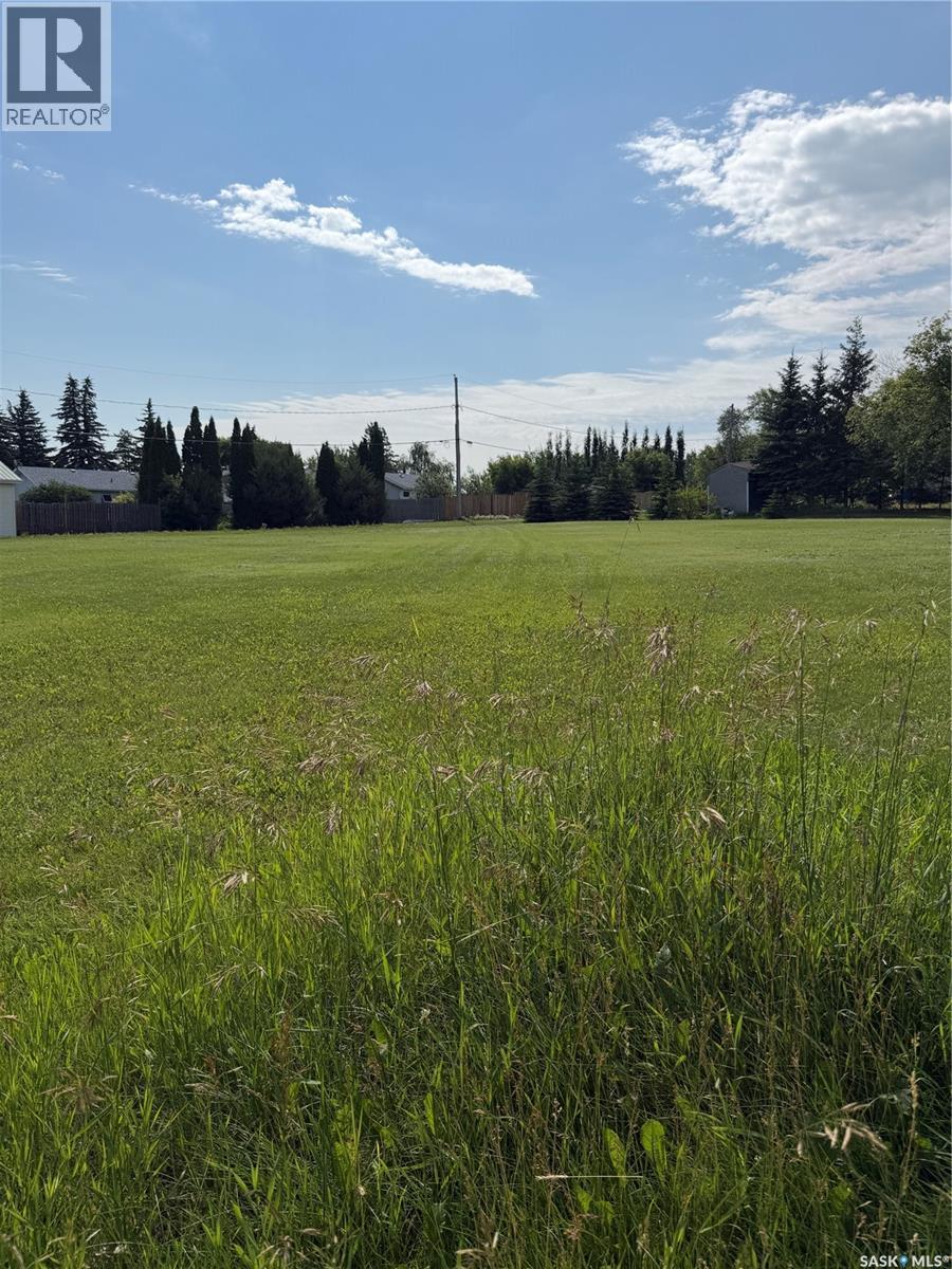 112 4Th Street, Birch Hills, SK